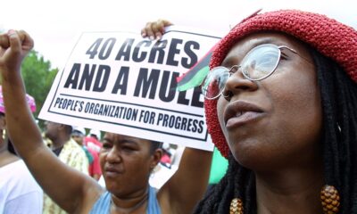 Illinois city slapped with lawsuit over 'unconstitutional' reparations plan: 'Using race as a proxy'