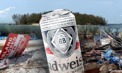 'Beer Can Island' plundered by party pirates, owners vow to rebuild before sale