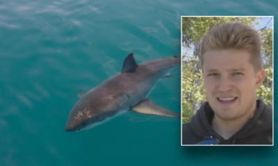 California surfer survives encounter with shark who displayed ‘aggressive’ behavior