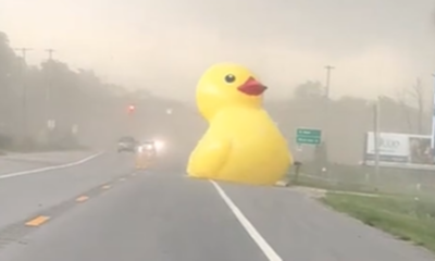 Giant inflatable duck blows across Michigan road during high winds
