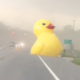 Giant inflatable duck blows across Michigan road during high winds