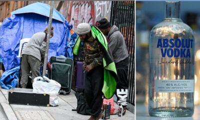 San Francisco under fire for program giving booze to homeless alcoholics: 'Where's the recovery in all this?'