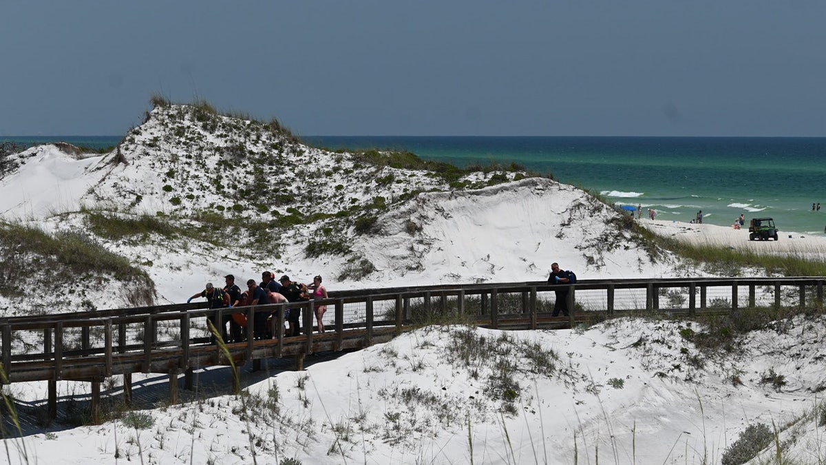 Law enforcement remove a shark attack victim from Walton County, Fla., beaches, June 7. 