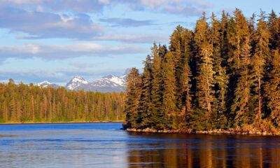 Charter boat likely capsized in leadup to wreck that killed 5 off Alaska coast: Coast Guard