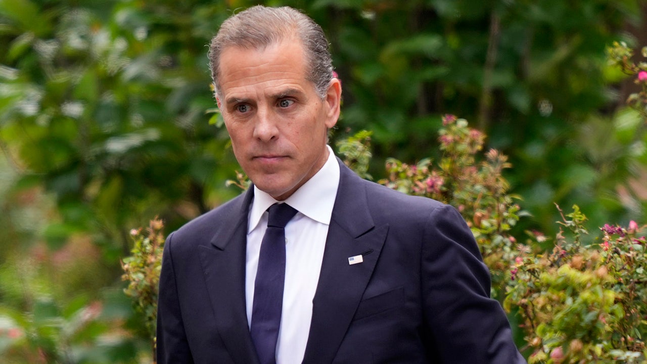 Hunter Biden files and quickly withdraws motion for new trial in criminal gun case