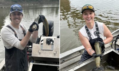 Ocean-born fish seen swimming in Kansas River for first time in a decade: 'Fascinating species'