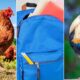 Louisiana deputy makes 'fowl' discovery in missing child's backpack