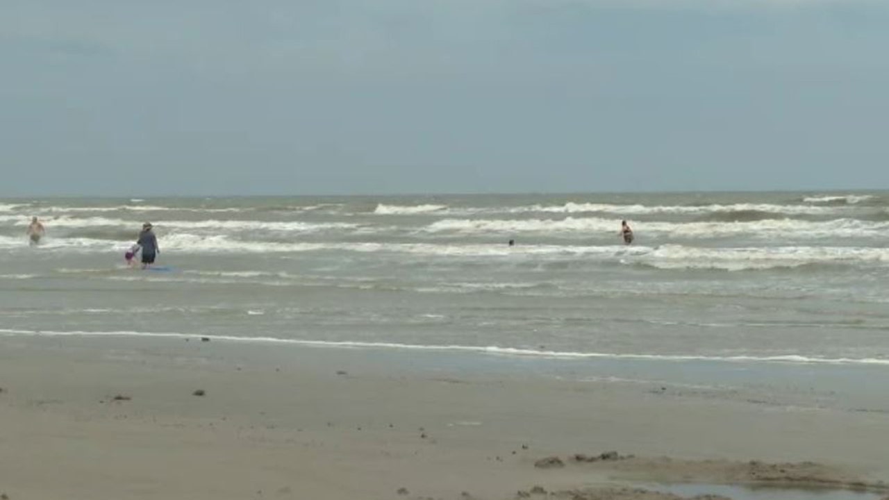 Teen survives shark bite off Texas beach: 'I started punching it'