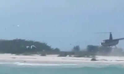 Florida helicopter pilot charged with harassing protected birds after landing on shorebird nesting site