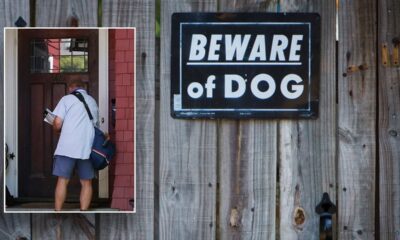 California and Texas top list of most dog attacks on US mail carriers in 2023