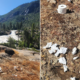 Yosemite rangers urge visitors to not bury this in national park: 'Let's keep things clean and classy'