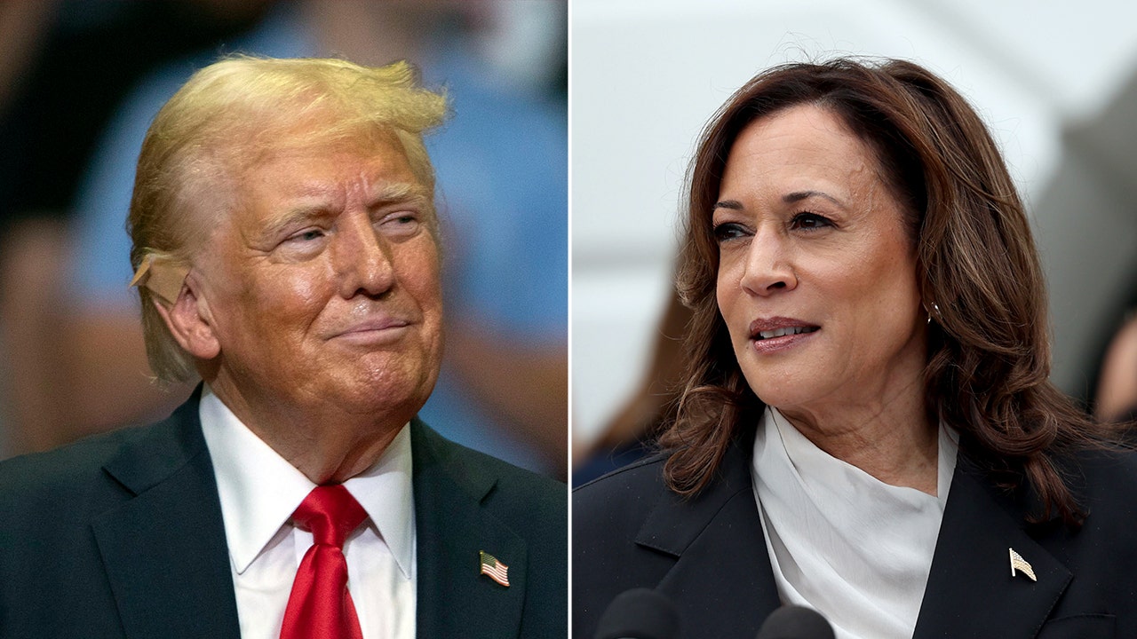 New poll shows Trump, Harris tied in key battleground state: 'Close as close can be'