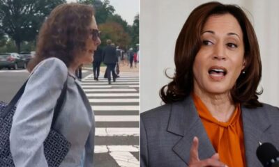 WATCH: House Dem makes bizarre claim while dodging question on VP Harris' 'border czar' record