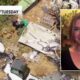 California family fighting neighbors' junkyard ridden with hazardous waste is at breaking point: 'Trapped'