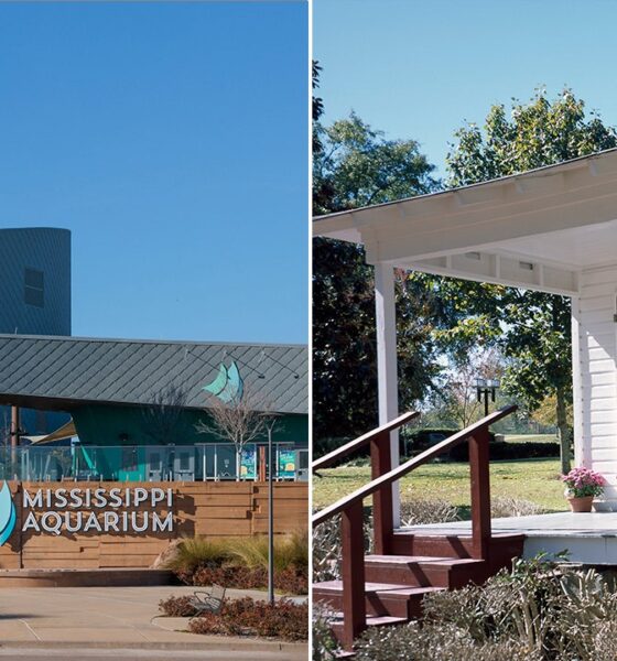 Visit Mississippi and experience a trip filled with history, beauty, fun
