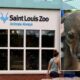 4 endangered American red wolf pups born at St. Louis Zoo in historic first