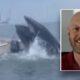 Fisherman whose boat was capsized by breaching whale speaks out: 'Was in fight or flight mode'
