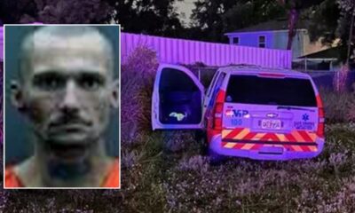 Florida man who hijacked EMS vehicle, took it for a joyride before epic crash accepts plea deal