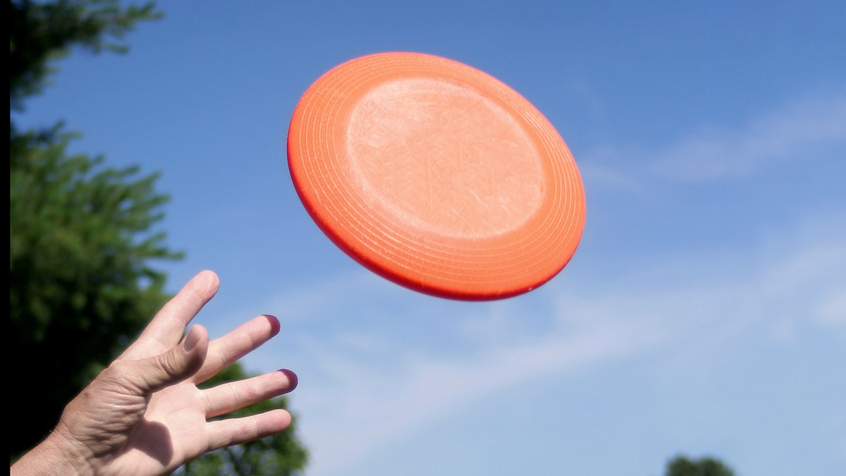 frisbee in the air