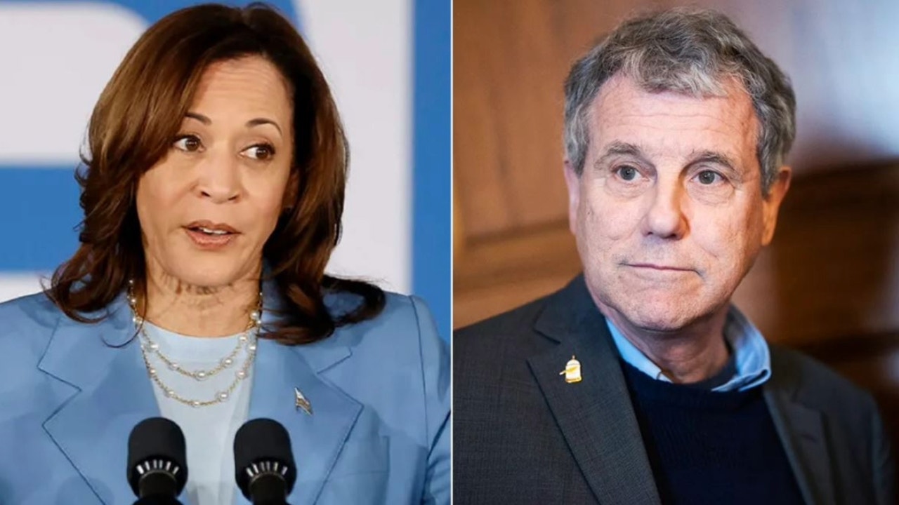 Vulnerable Dem senator ripped for voting in 'complete lockstep' with 'friend' Harris: 'Radical views'