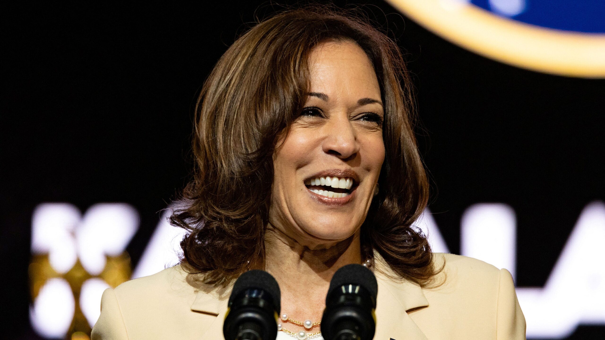 Kamala Harris played key role in helping man become 1st illegal immigrant with law license: report