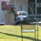 Pilot survives crash landing at California golf course with barely a scratch