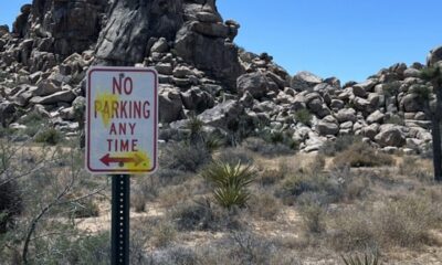 German tourists deface Joshua Tree National Park in paintball and slingshot shooting rampage