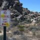 German tourists deface Joshua Tree National Park in paintball and slingshot shooting rampage