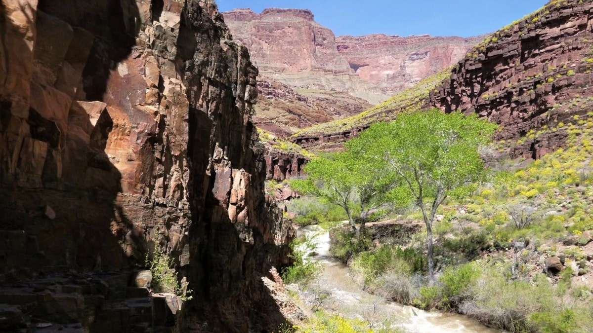 Grand Canyon National Park trail