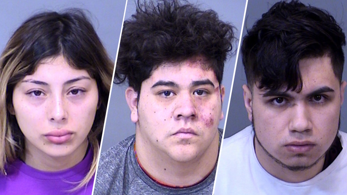 Mugshots of burglary suspects