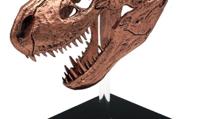 Factory Entertainment Jurassic Park – T-Rex Skull Scaled Prop Replica