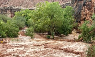 Texas hiker says Grand Canyon flash flood rescue was 'craziest day'