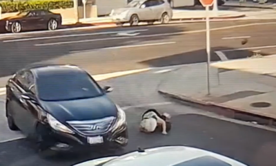 Video captures Los Angeles hit-and-run that 'severely injured' a 63-year-old woman