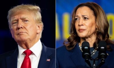 Harris and Trump deadlocked in Pennsylvania as former president trails in other 'blue wall' states: poll
