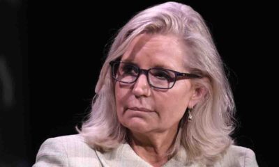 2024 Showdown: Anti-Trump Republican Liz Cheney says she's backing Kamala Harris