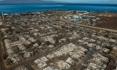 Cause of Maui wildfire that killed 102 revealed