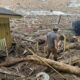 North Carolina official reveals shocking damage to tourist town: 'All of it was washed into the lake'