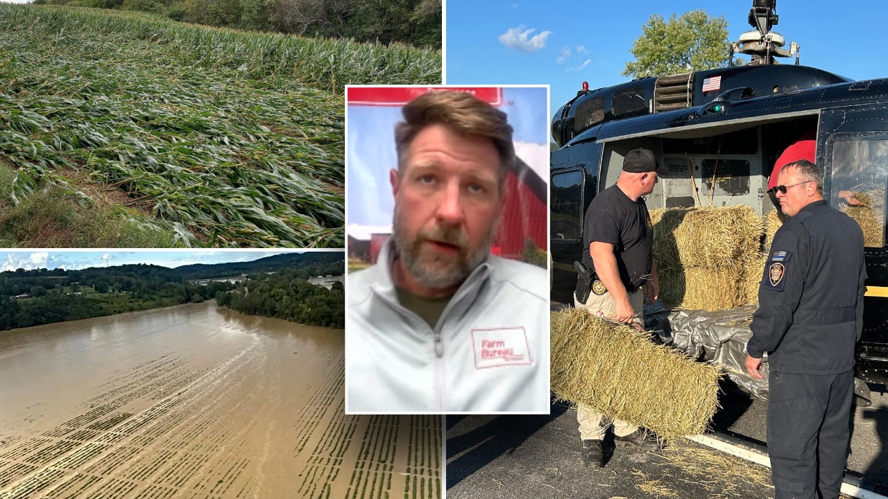 Hurricane Helene: 'Backbone of America' helping farmers across Southeast who lost billions in crops, land