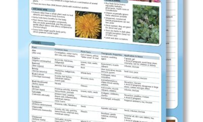 Herbal Medicine Quick Reference Guide – Holistic Health and Wellness by Permachart