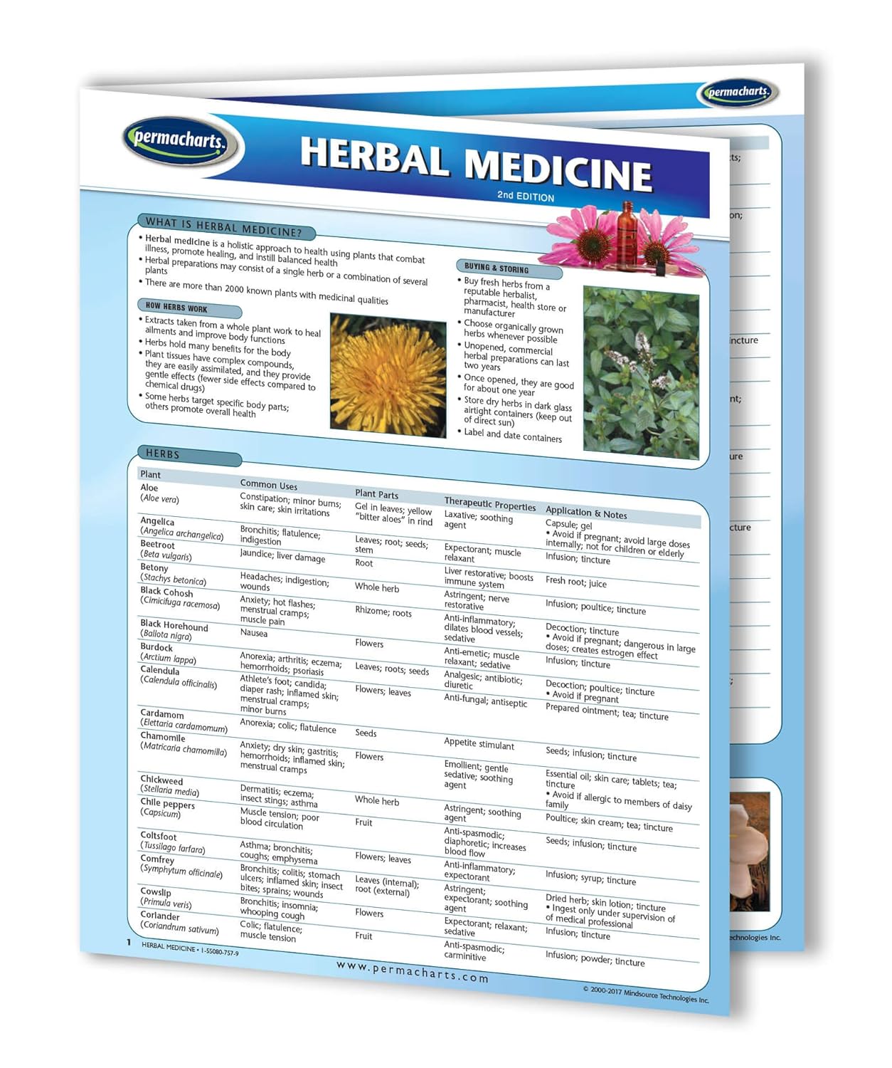 Herbal Medicine Quick Reference Guide – Holistic Health and Wellness by Permachart