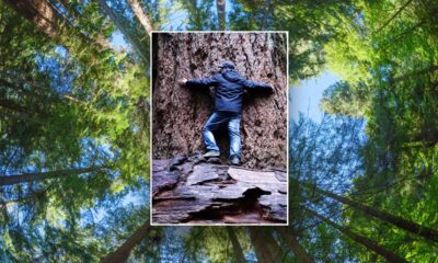 The world's oldest Douglas fir trees have lived over 1,000 years