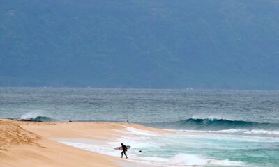 Shark ‘completely severs’ leg of Hawaii surfer off Maui beach, authorities say