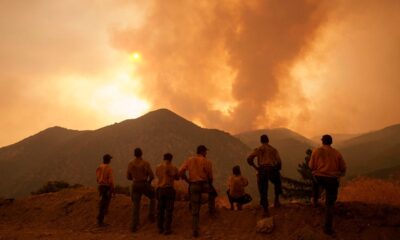 Here's how DOGE can help save lives, money from wildfires