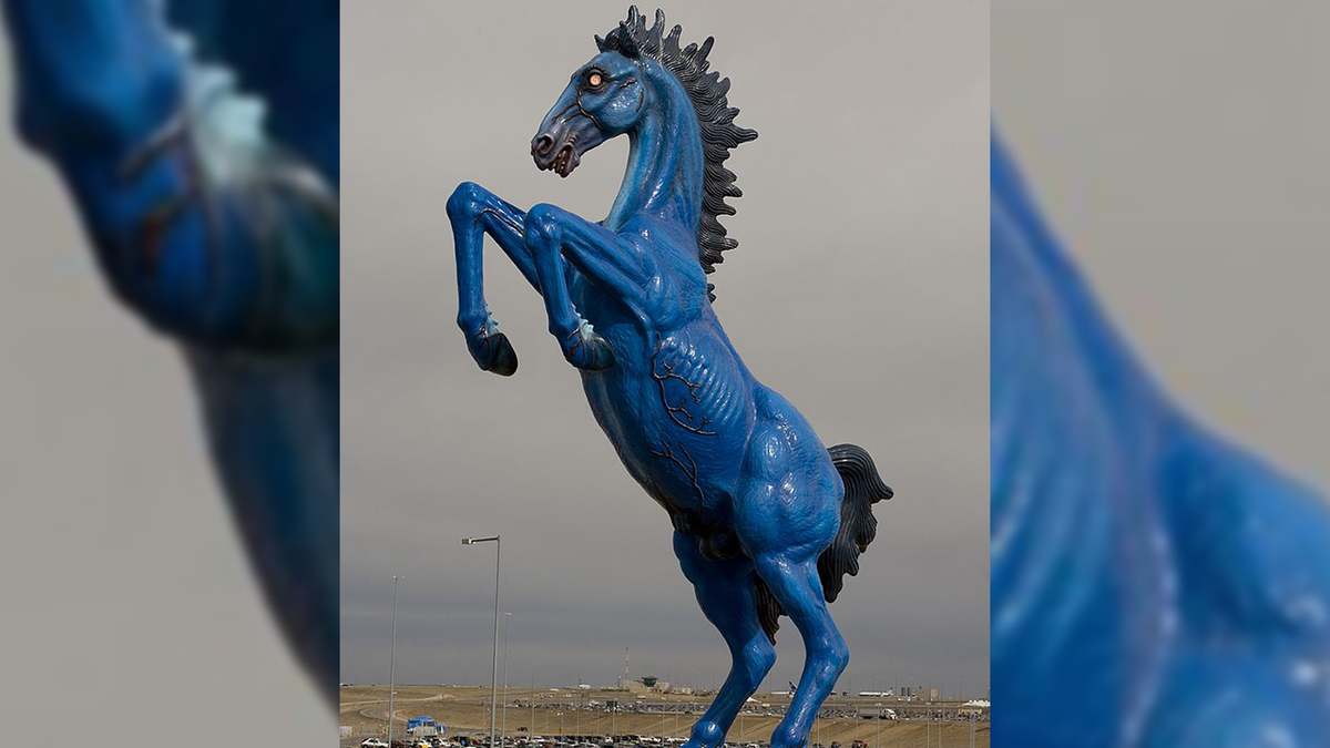 AIRPORT DENVER CURSE HORSE