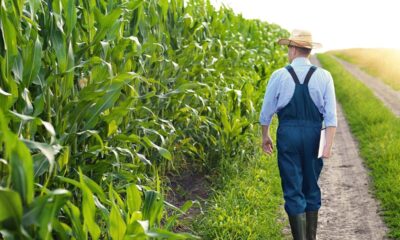 US agriculture primed to be next frontier in cybersecurity in new year, experts, lawmakers say