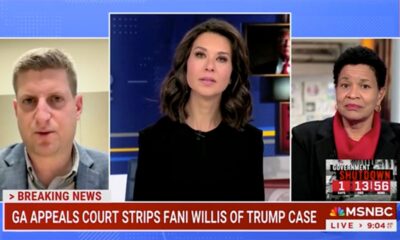 Fani Willis' reputation 'damaged' after disqualification from Trump case: Georgia reporter