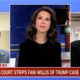 Fani Willis' reputation 'damaged' after disqualification from Trump case: Georgia reporter