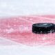 New York high school hockey player dead at 17 after 'sudden medical event'