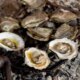 Christmas means oyster roasts in this Southern state: 'Beloved delicacy'