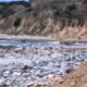 Los Angeles-area authorities investigating human legs found on shoreline